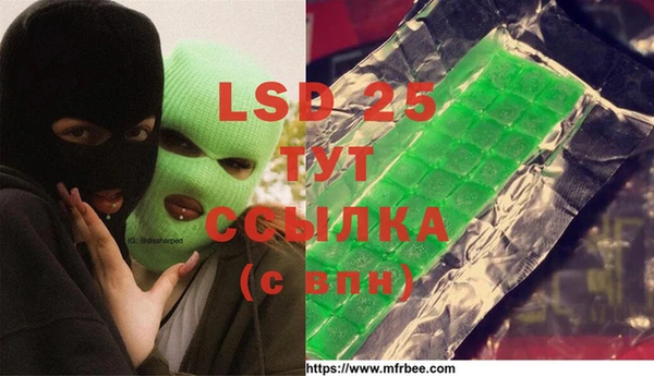 гашик Апатиты
