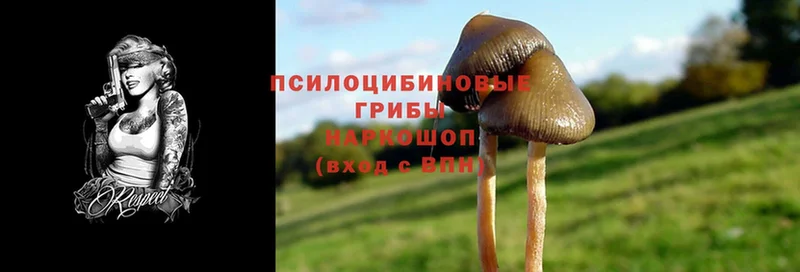 как найти наркотики  Аркадак  Псилоцибиновые грибы Magic Shrooms 