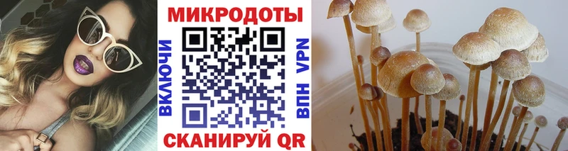 Галлюциногенные грибы мицелий  купить   blacksprut как войти  Аркадак 